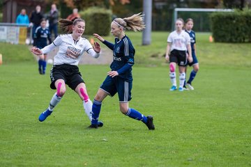 Bild 155 - B-Juniorinnen SV Henstedt Ulzburg - Hamburger SV : Ergebnis: 2:3